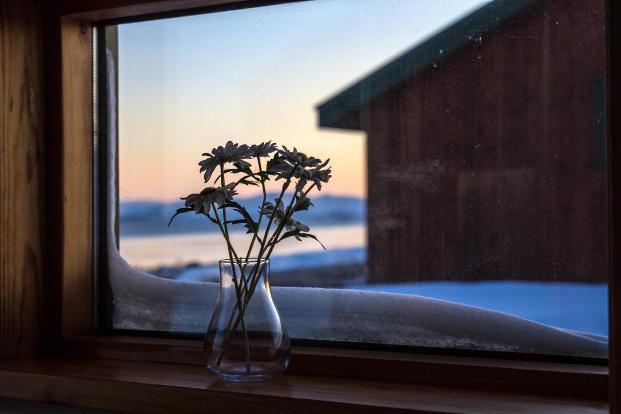 Lake Thingvellir Cottages Blaskogabyggd Exteriér fotografie